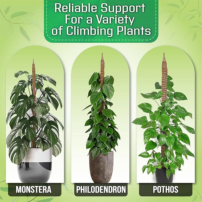 81amjqwaukl. ac sx679 