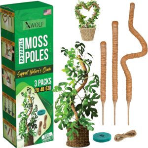bendable moss pole kit (3 pack) – 28", 48", 63" flexible coir plant stakes for monstera & climbing plants